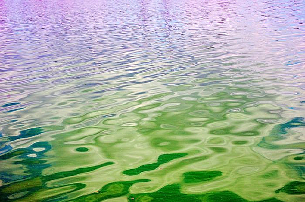 ����ˮ����