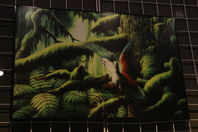 �Ŵ����໭��