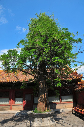 �ʹ��ڵĹ���