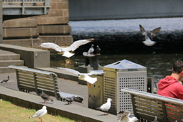 ��Ÿ����