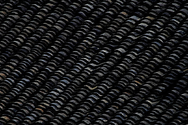 �������Ʊ���