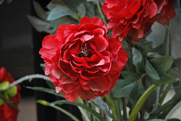 ����ĵ���