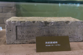 ������ש