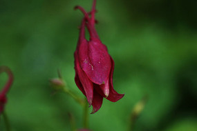 �������ﶷ�˻���