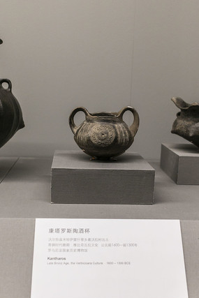 ���ܿ�����˹�վƱ�