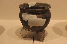 ��������㶦