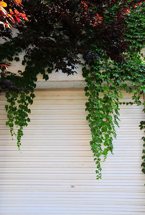 ��ǰ�ʹ�����ֲ