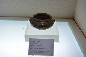 ��������¯