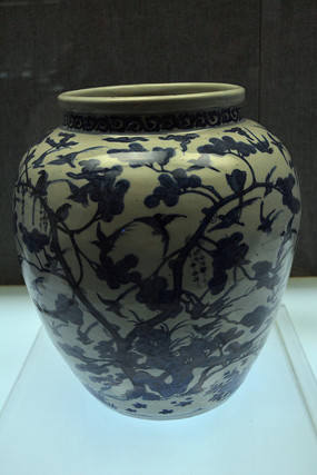 ���������໨�ɺ��ƹ�