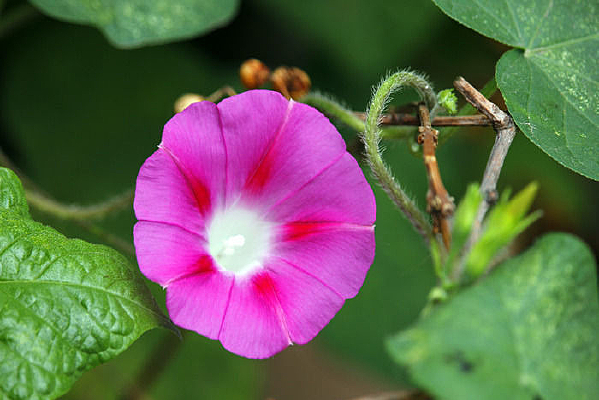 ǳõ��ǣţ��