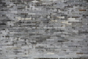 ��ש����