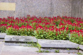 ʯ���еĻ���