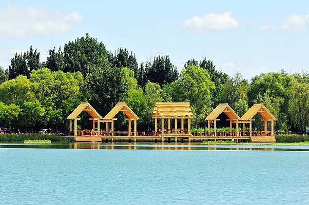 ˮ���ߵ�ľͤ