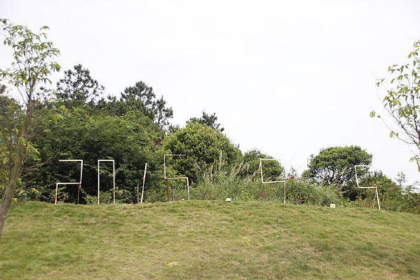 ѧУ��������