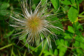 һ�俪���˵���¶��