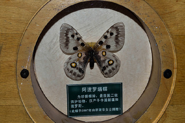 �����޾���걾