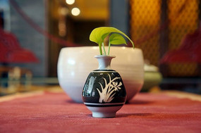 ��ƿ�����Ҷ