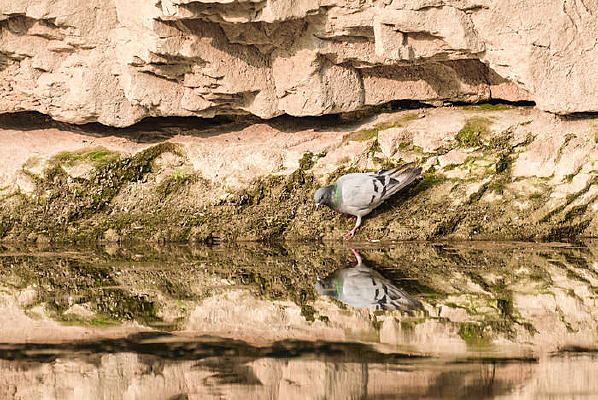 ������ˮ