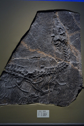 ������ʯ