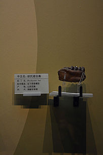 ���ϰ����޹ǻ�ʯ