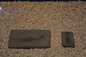 ���Ϲ���������ʯ