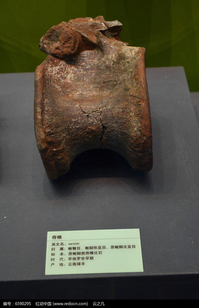 ��׵��ʯͼƬ