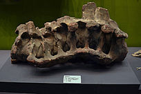 �����ൺ����ʯ