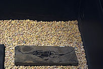 ������ʯ���Ϲ�����