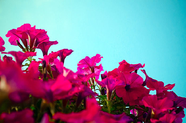 �����µ����Ȼ�Ⱥ