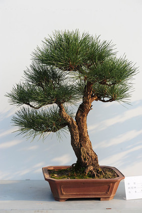 �����޺���