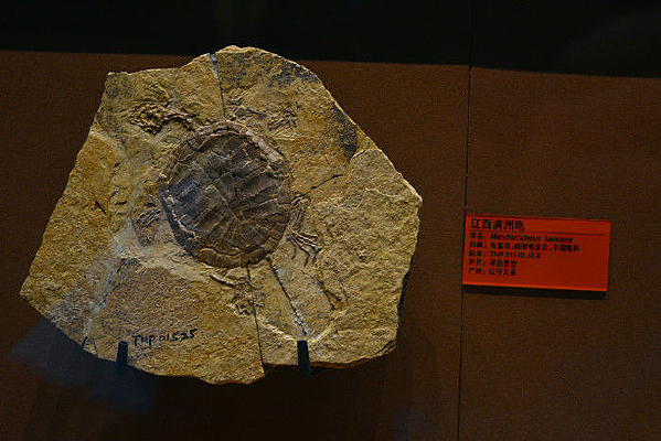 �������޹껯ʯ