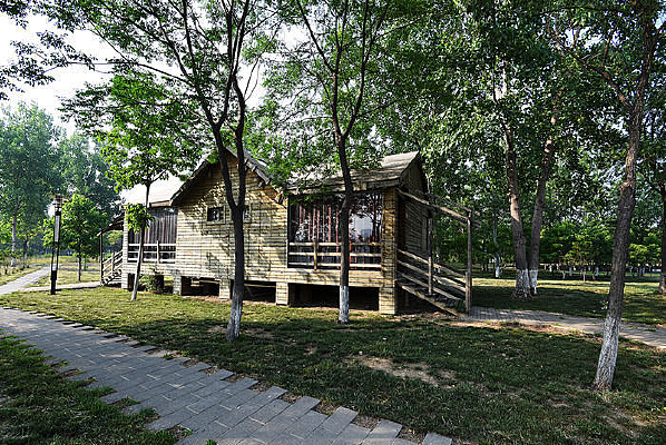 �����е�ľ��