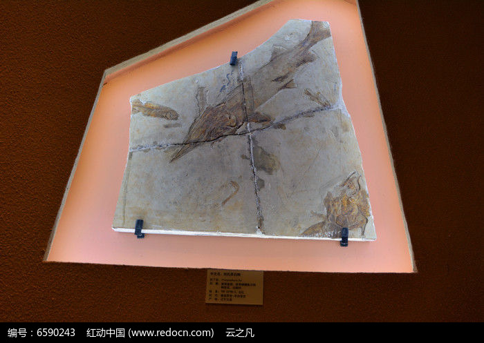 ���ϰ��໯ʯͼƬ