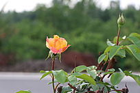 �������¼���