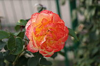 �������¼���