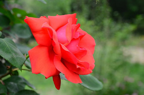 �¼�����