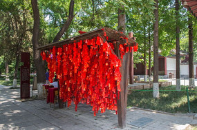 ���������ĺ�ɫ����