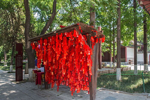 ��ɫ����