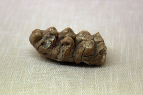 Ƕ�������ݻ�ʯ