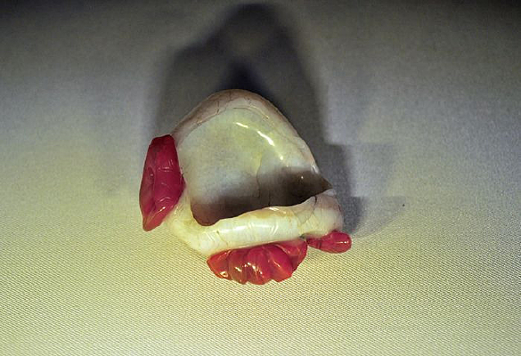 ��������觺�Ҷʽϴ