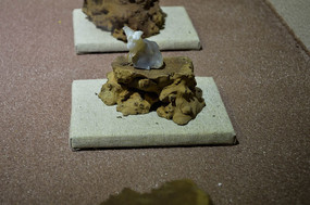 ʯ��ʮ����Ф��