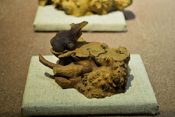 ʯ��ʮ����Ф��