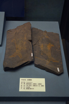 ��������ʯ