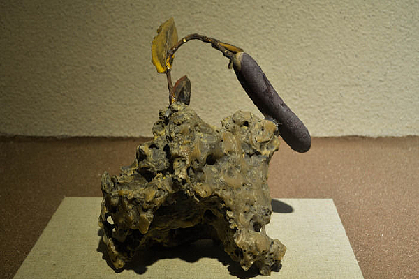 ΢��ʯ������