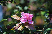 һ���ɫ�¼�