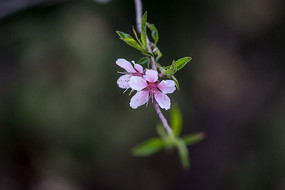 �����һ�