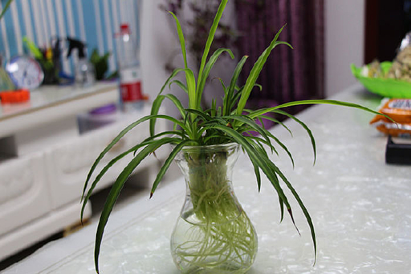 һ��ˮ������