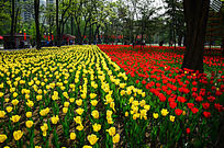 ������԰