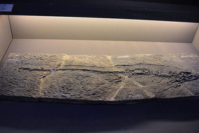 �����໯ʯ