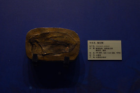 ������ʯ